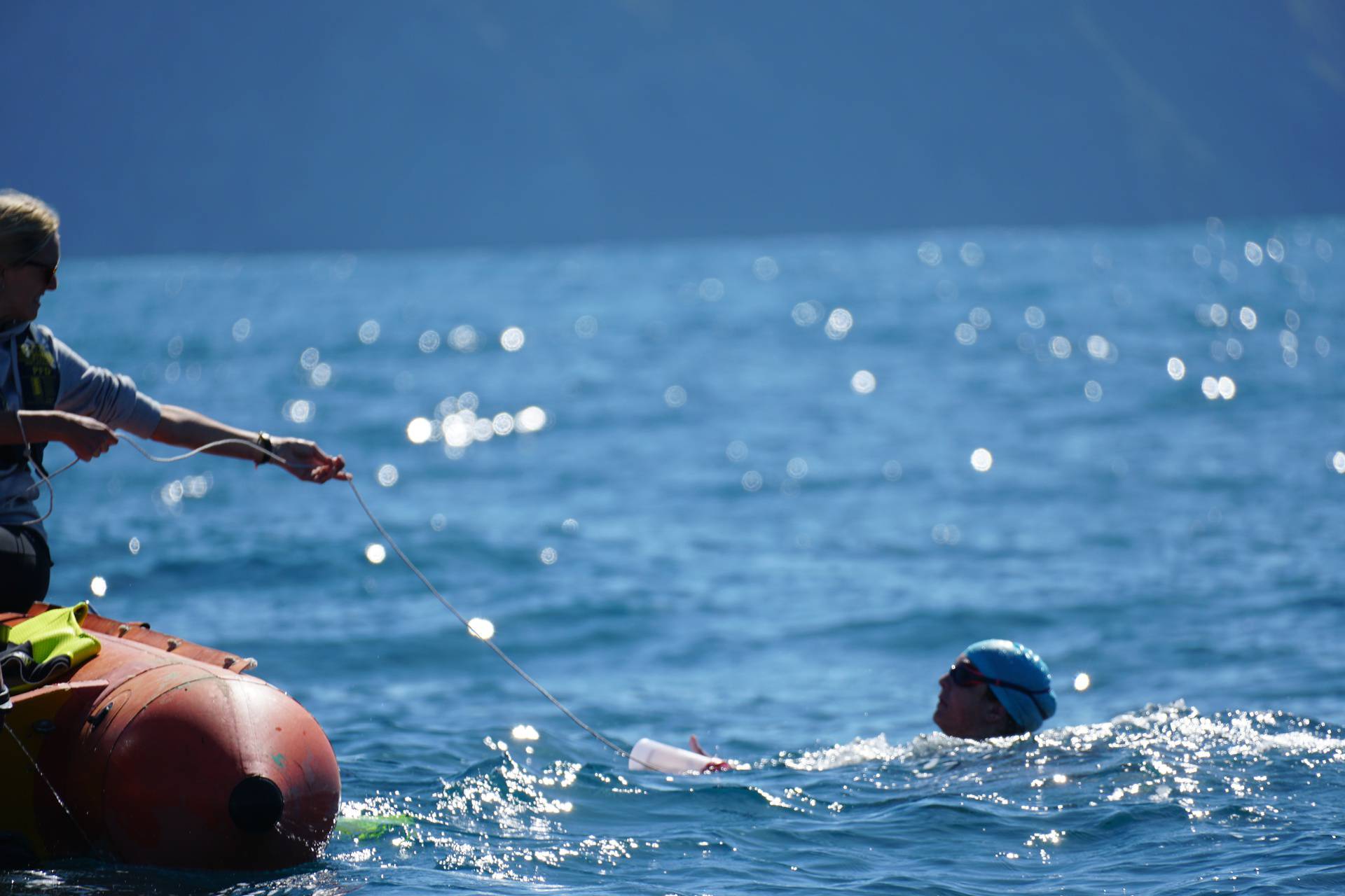 Dina će plivati tri maratona u Južnoj Africi: Velike bijele psine rastjerali su kitovi ubojice...