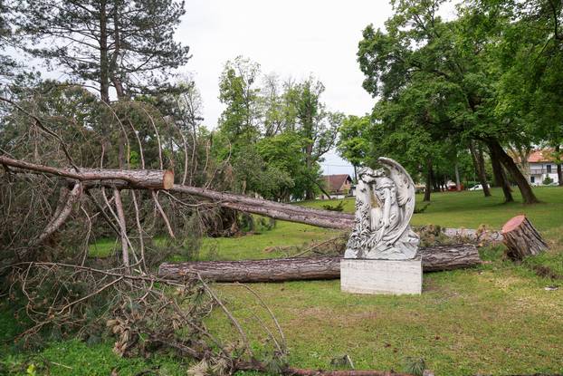 U oluji porušena stabla na Mirogoju napravila su veliku štetu