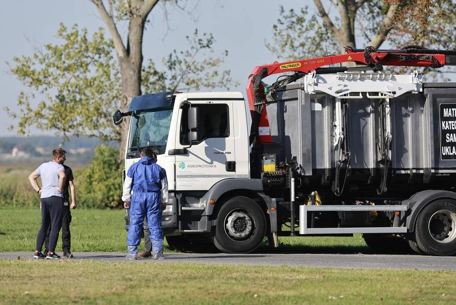 Sokolovac: Kreće eutanazija svinja, uvode se novi sigurnosni protokoli