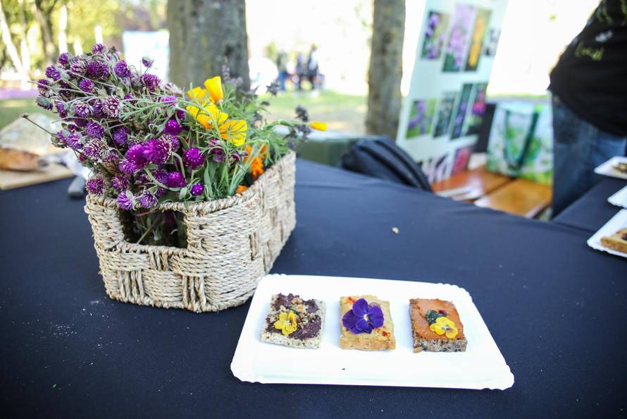 Zagreb: Ekotlon 2025