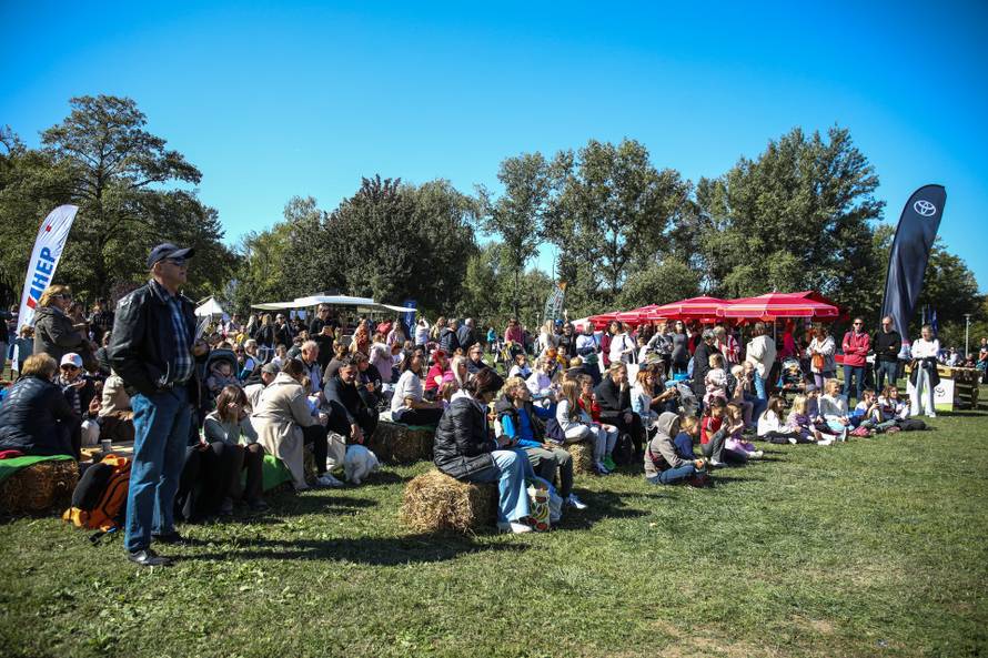 Dan u prirodi, kviz i koncert: Dođite na Ekotlon - festival zelenih navika!
