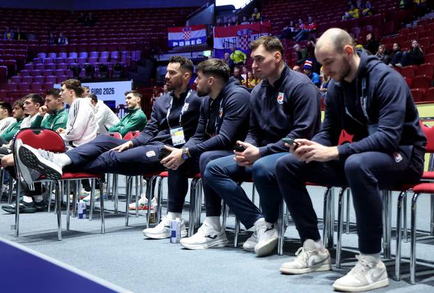 Malmo: Zvonimir Srna sa suigračima prati utakmicu Slovenija - Island 