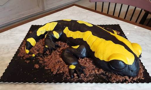 Slatki stol i 3D torte koje svi fotkaju? Evo tko stoji iza tih viralnih deserata