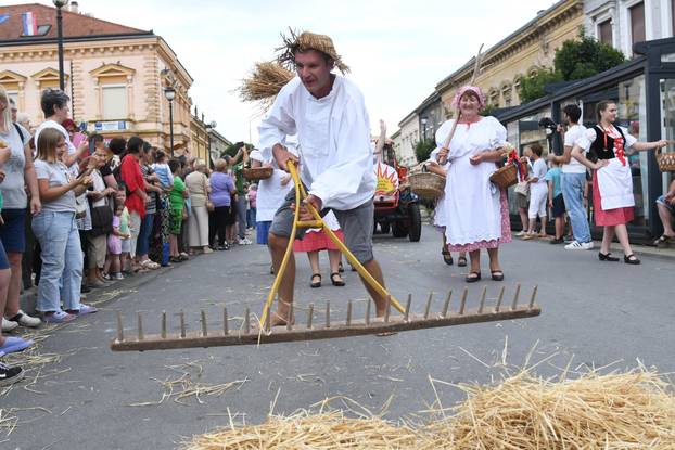 Daruvar: Obilježen je Dožinky, najveća kulturna manifestacija češke manjine u Hrvatskoj