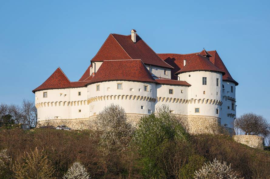 Kod Dvora Velik Tabor top usmrtio muškarca