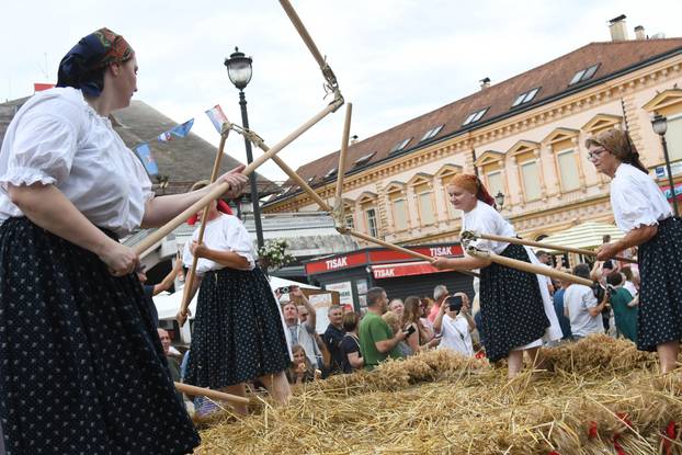 Daruvar: Obilježen je Dožinky, najveća kulturna manifestacija češke manjine u Hrvatskoj