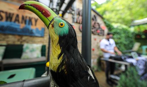 Najbolji trenuci subotnjeg Chill&Grilla na jednom mjestu