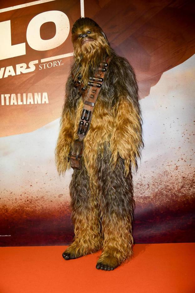 Milan, Red carpet for the premiere of the film "Solo" Star Wars Story