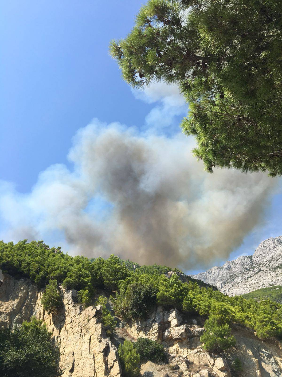 Vatra se širi: Dvije kuće skoro izgorjele, turisti spašavali aute