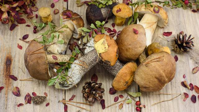 Napravite fino jelo s gljivama i uživajte u prekrasnim okusima
