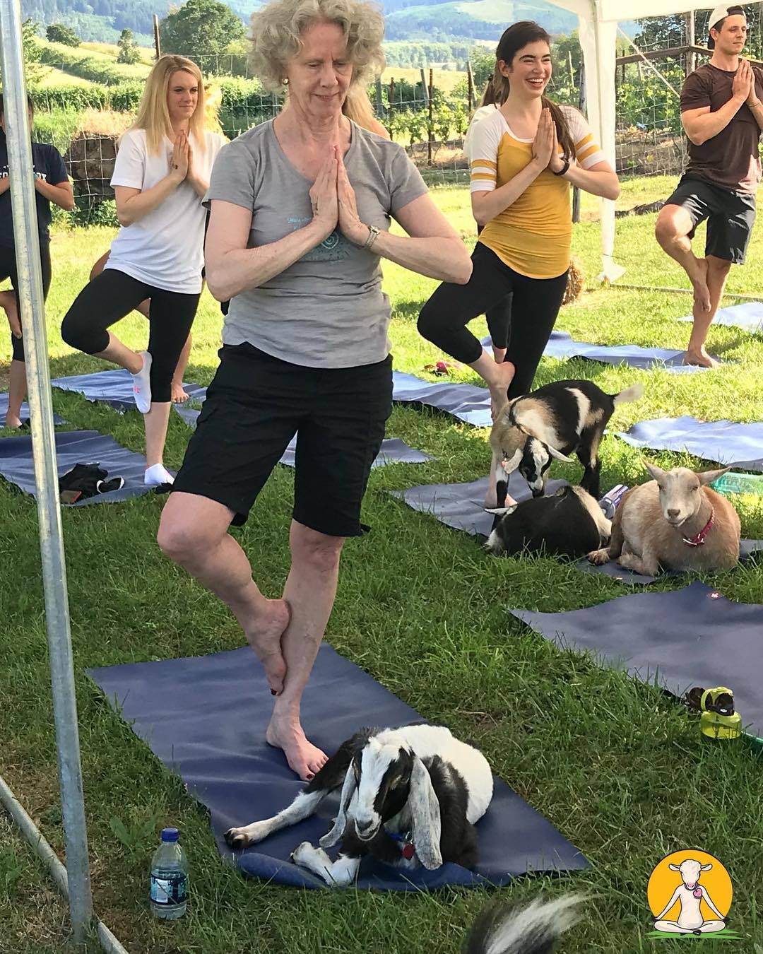 Joga s kozama je hit: Probala ju je i zvijezda Igre prijestolja