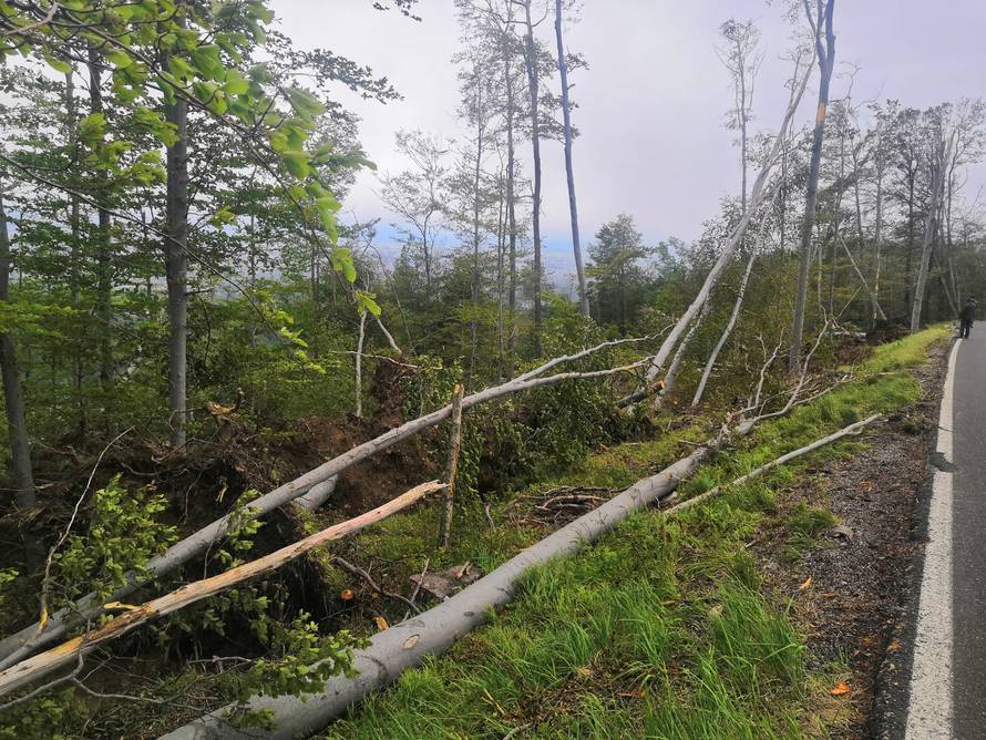 Prizor katastrofe: Oluja srušila stotine stabala na Medvednici
