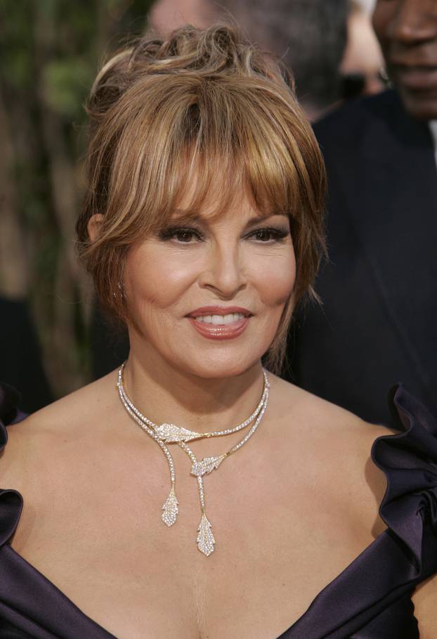 FILE PHOTO: Raquel Welch at the 62nd Annual Golden Globe Awards.
