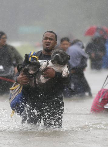 Isiah Courtney carries his dog Bruce through flood waters from Tropical Storm Harvey in Beaumont Place