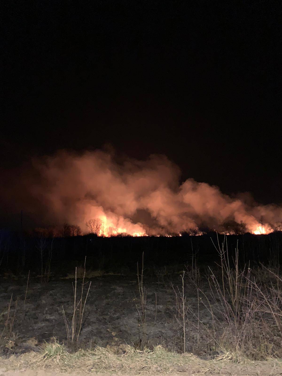 Lokaliziran požar kod Petrinje: 'Bilo nam je teško gasiti jer se radi o močvarnom području'