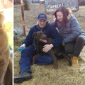 Čuvar sela u Gorskom kotaru: Naš pas Oskar je neustrašiv! Ugrizao je medu za stražnjicu