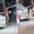 HIT SNIMKA Kako se pere auto u Imotskom. Svi su gledali u njih