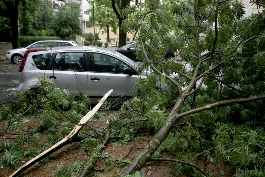 Zagreb: Na četiri automobila srušilo se stablo tijekom nevremena