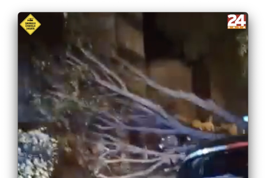 Orkanska bura u Splitu srušila stablo