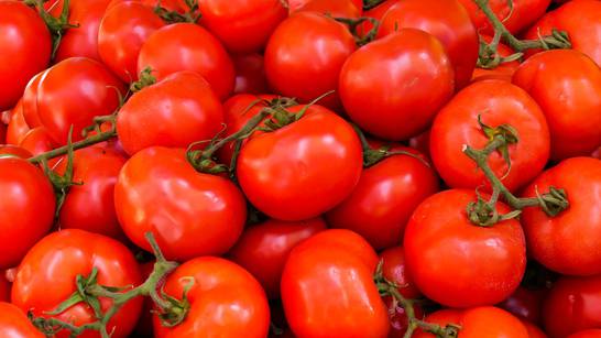 Poražavajući podaci: rajčicu uvozimo iz čak 17 zemalja!