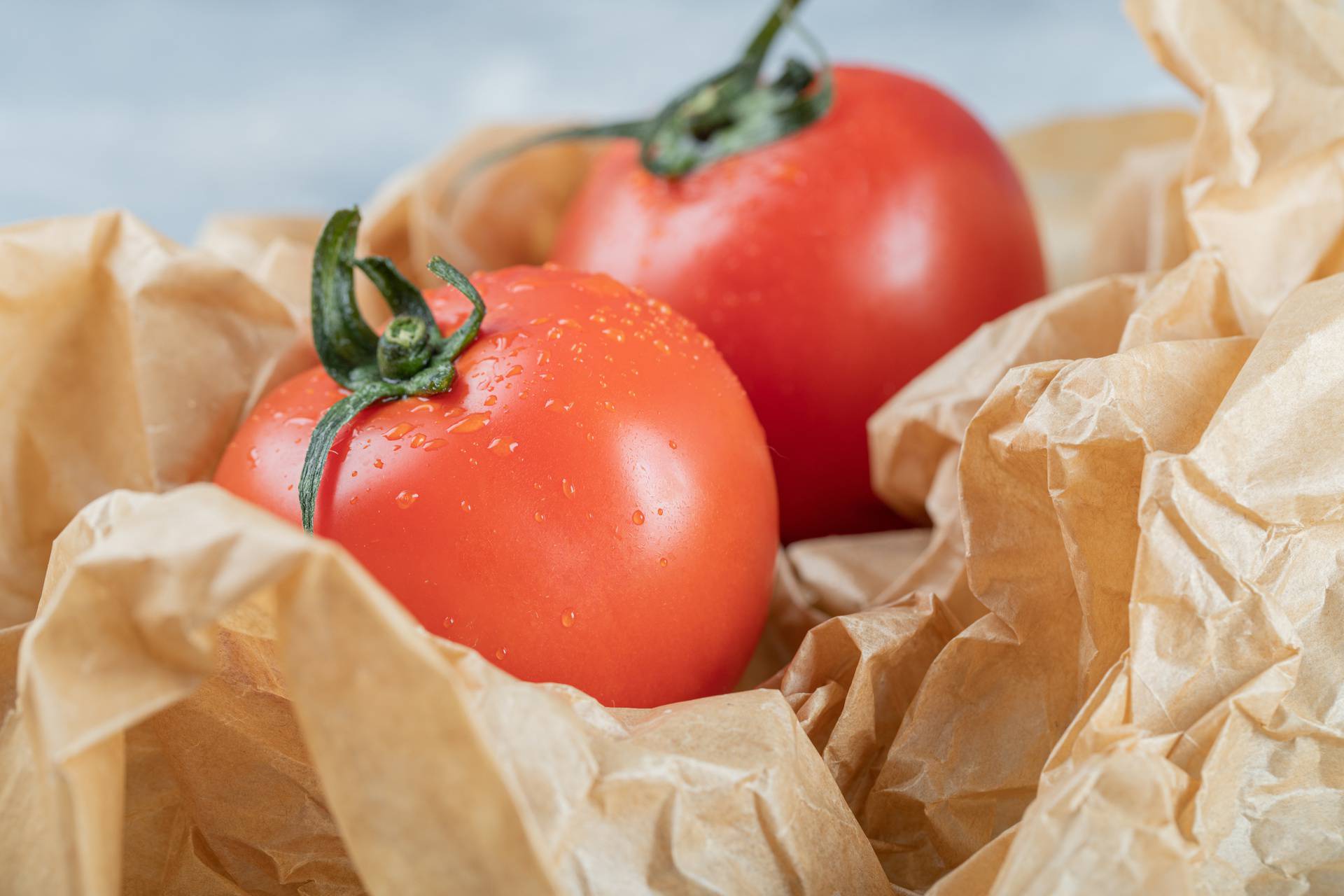 Two fresh whole tomatoes on a parchment paper