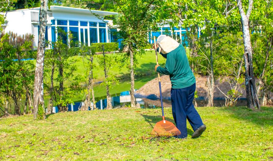 A,Janitor,Cleans,The,Lawn,Area,From,Leaves,And,Mown