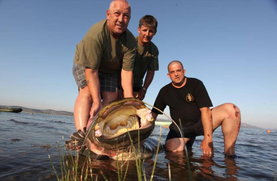 Željko Mršić/Pixsell