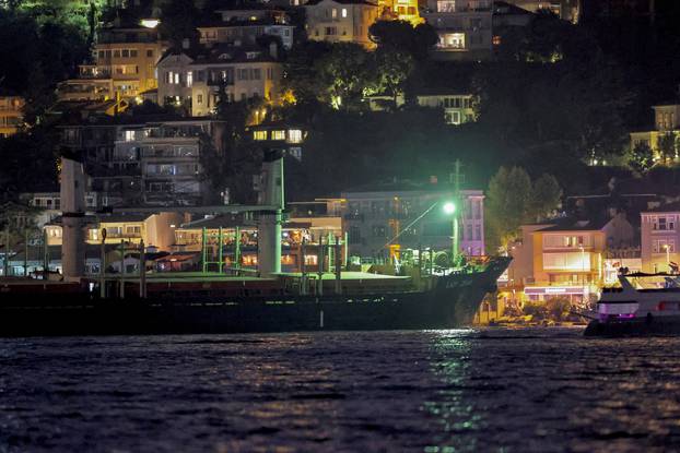 Grain ship from Ukraine grounded in Istanbul's Bosphorus