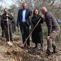 Hrvatske šume posadile 150 stabla u Zagrebu: Nabavili su i šest električnih automobila