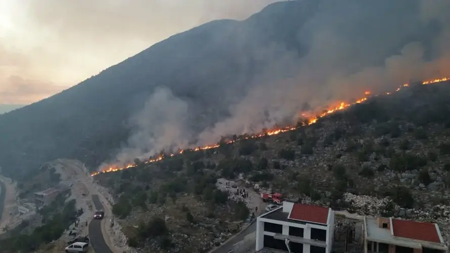 VIDEO Požar kod Dubrovnika i dalje aktivan: Vatra se širi...