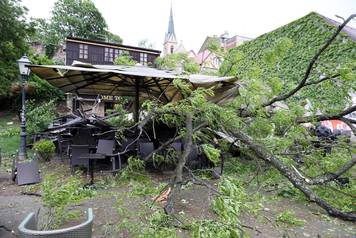 Zagreb: Olujni vjetar sruÅ¡io drvo na terasu Oliver Twista