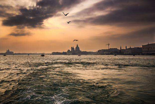 PIXSELL TOP 100 - 2025