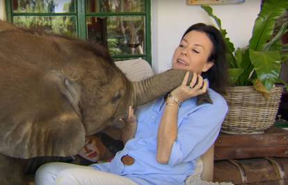 Spasila je bebu slona, a sada joj je on postao najbolji prijatelj