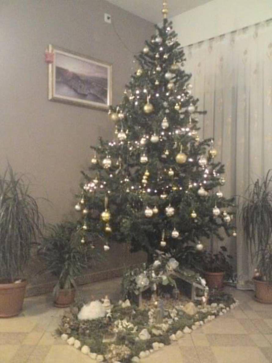 Šaljite fotografije božićnih jelki i osvojite vrijednu nagradu...