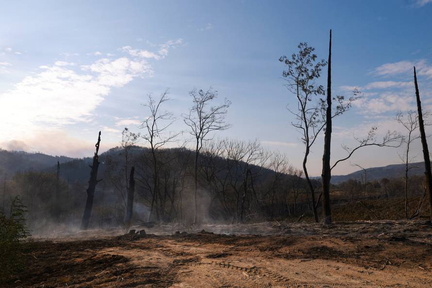 Big wildfire rages in southern France