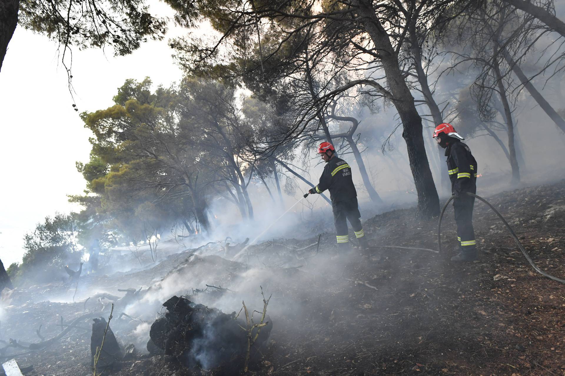 U blizini Trogira izbio požar, u gašenju pomažu i tri protupožarna aviona