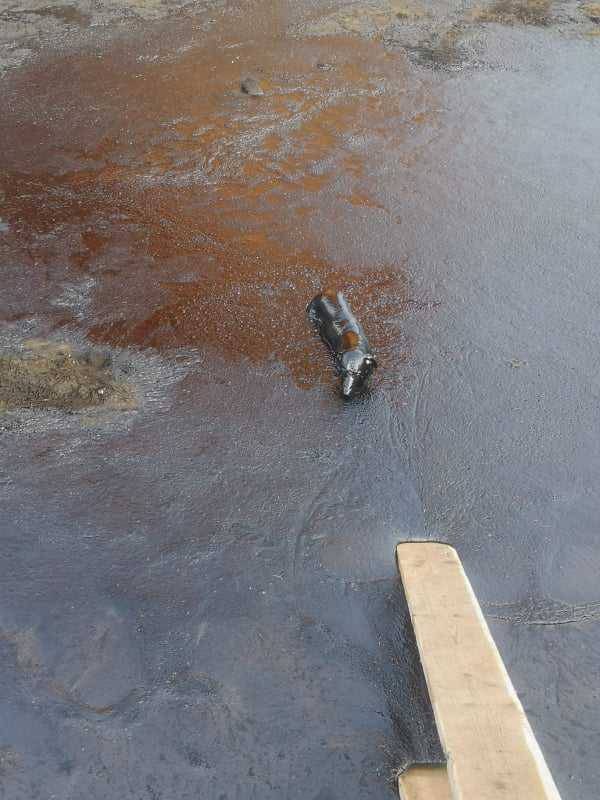 Gorio brod generala Gotovine u Gaženici:  Prije toga, vatrogasci spašavali psa iz bazena mazuta