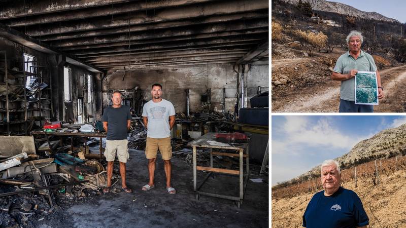 Ovi ljudi su ostali bez pogona, maslinika, vinarije... Složni su: 'Obnovit ćemo! U inat požaru'
