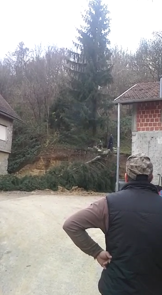 'Jesam ti rekel': Prijatelj rušio stablo i srušio mu ga na kuću!
