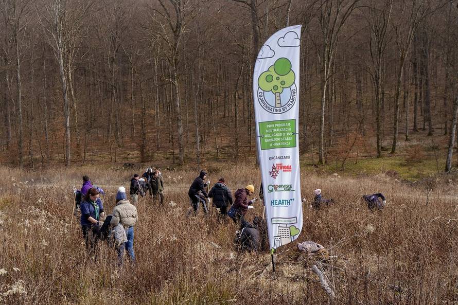 Šumoborci kroz sadnju stabala i edukacije uče o klimatskim promjenama i pomažu u obnovi