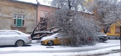 FOTO Osim snijega, u Osijeku palo i stablo na parkirani auto