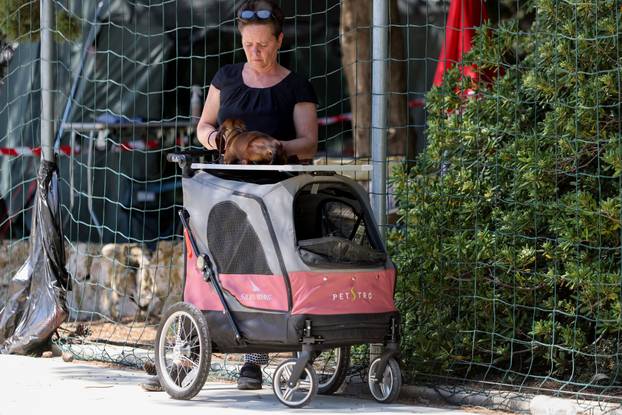 Zaton: Međunarodna izložba pasa pod nazivom CACIB Zadar 2025