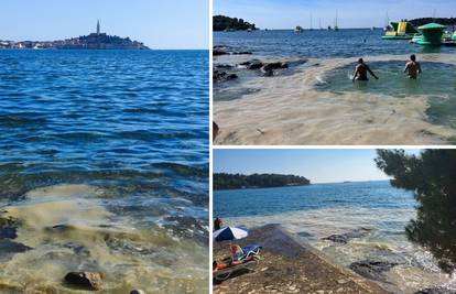 VIDEO: Turiste zgrozile plaže u Istri: 'Pune su prljavštine i sluzi' Stručnjaci: 'I dalje cvjeta more'