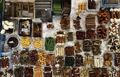 Vrhunska njega na jednom mjestu: Raj za vlasnike kućnih ljubimaca