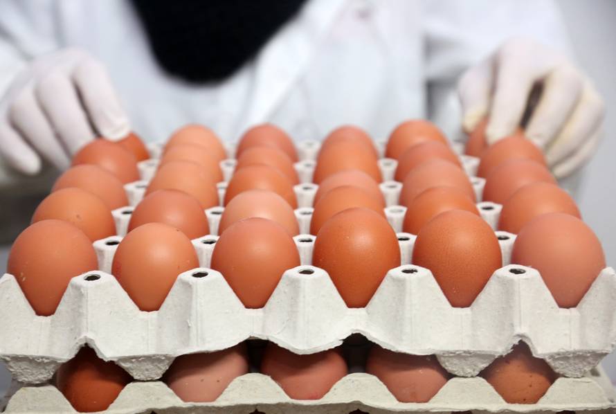 Velika inspekcija 24sata: Više na policama nema poljskih jaja