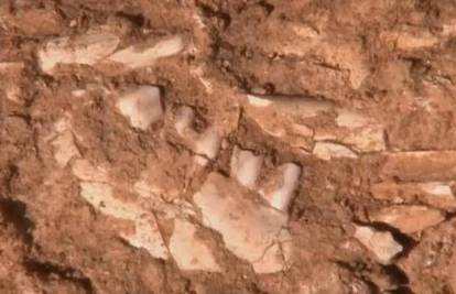 Arheolozi su u Izraelu pronašli zub star oko 400.000 godina 