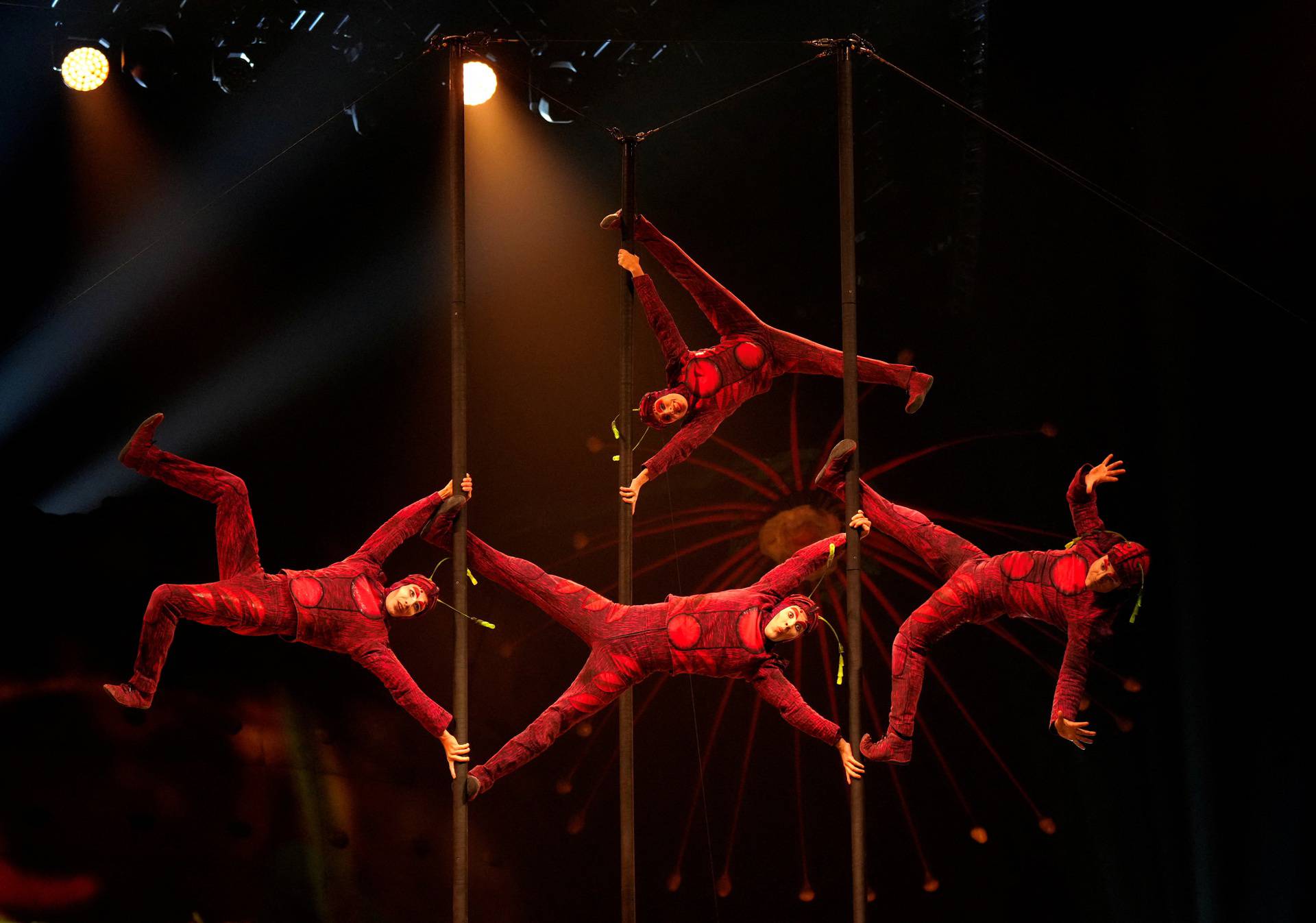 Cirque du Soleil with Ovo show performs in Riga