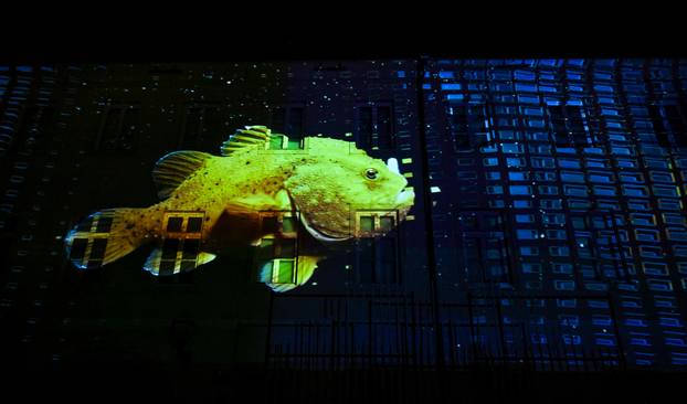 Zagreb: Festival svjetla 2026