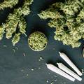 Zaokret u SAD-u: Marihuana ide me&dstrok;u manje opasne supstance