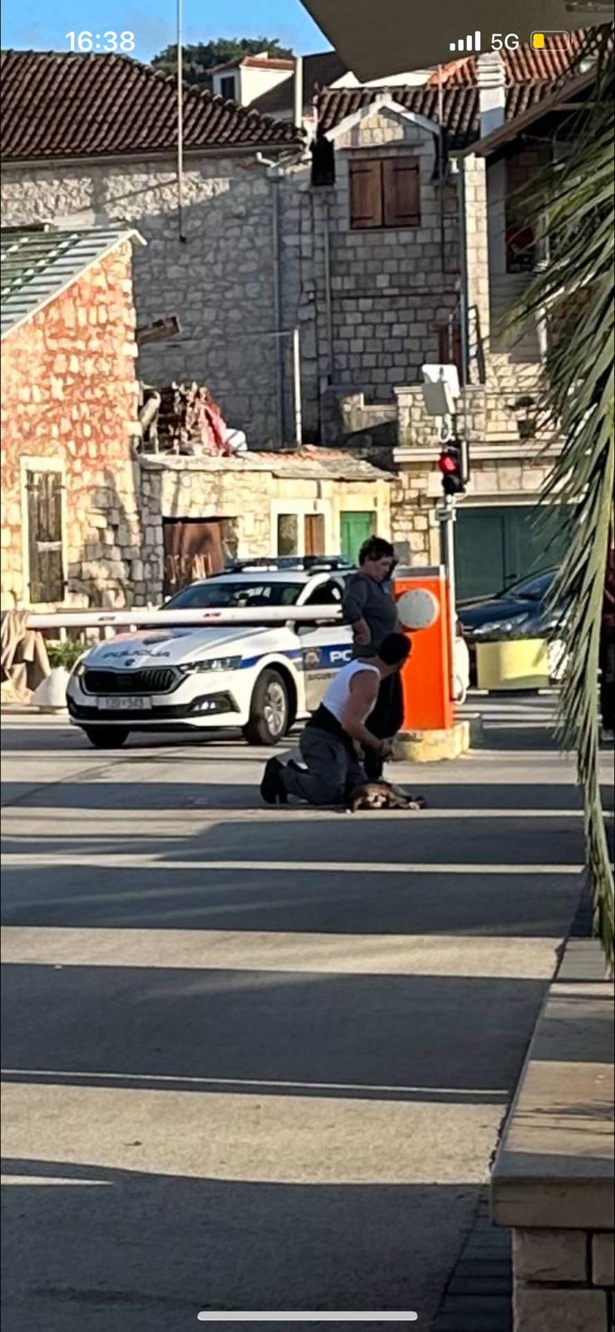 Pas na Braču napao i ozlijedio drugog psa i vlasnicu. Policajac ga ubio: 'Bio je bez nadzora...'